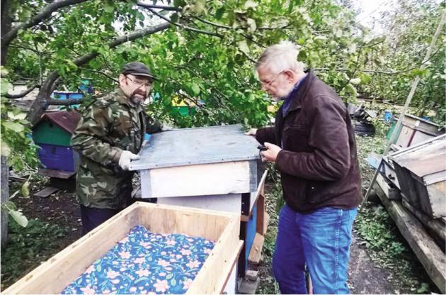 Гость из Голландии на пасеке Виктора Кудряшова (слева). Хирино, 2017 г.